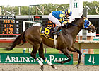 Coragil Cat Springs Hanshin Cup Surprise Coragil Cat Springs Hanshin Cup Surprise