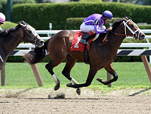 Pletcher Has Strong Hopes in Matron, Futurity Pletcher Has Strong Hopes in Matron, Futurity