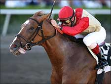 Corinthian Leaves Jazil Behind at Gulfstream Corinthian Leaves Jazil Behind at Gulfstream