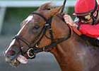 Breeders' Cup Focus: Corinthian
