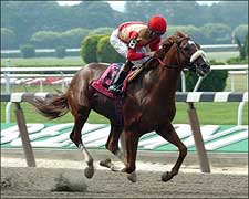 Jerkenses Post Met Mile Upset Jerkenses Post Met Mile Upset