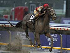 Corinthian to Stand for $40,000 at Gainesway Corinthian to Stand for $40,000 at Gainesway