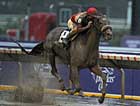 Corinthian to Stand for $40,000 at Gainesway Corinthian to Stand for $40,000 at Gainesway