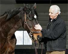 Classic Sire Cormorant Dies Classic Sire Cormorant Dies
