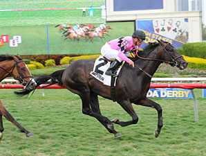 Appleton: Corporate Jungle Wins Stakes Debut Appleton: Corporate Jungle Wins Stakes Debut