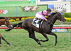 Appleton: Corporate Jungle Wins Stakes Debut