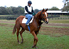 Racing Voices: The Fastest Horse in the World Racing Voices: The Fastest Horse in the World
