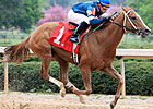 Evenly-Matched Field Set for Endine Stakes Evenly-Matched Field Set for Endine Stakes