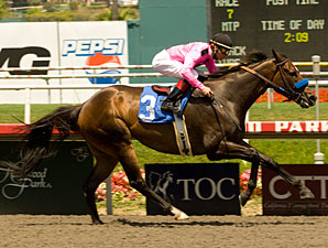 Cost of Freedom Leads Solid Bing Crosby Field Cost of Freedom Leads Solid Bing Crosby Field