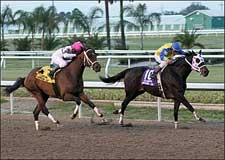 Costa Rising, Short Prices Mark Louisiana-Bred Card Costa Rising, Short Prices Mark Louisiana-Bred Card