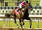 Hunch Plays Abound in Ancient Title Stakes Hunch Plays Abound in Ancient Title Stakes