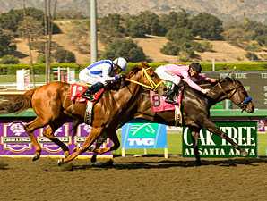 Cost of Freedom Hoping For Sprint Upset Cost of Freedom Hoping For Sprint Upset