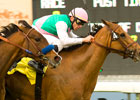 Costume Has Designs on Santa Ana 'Cap