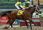 Stakes Producer For Dixie Dead Stakes Producer For Dixie Dead