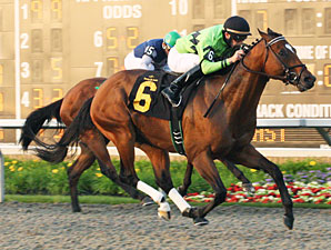 Stakes Winner Country Day Retired Stakes Winner Country Day Retired