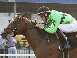 Country Day Retired to Stand at Crestwood Country Day Retired to Stand at Crestwood