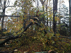 Hurricane Sandy Impacts Northeast Tracks Hurricane Sandy Impacts Northeast Tracks