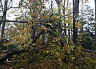 Hurricane Sandy Impacts Northeast Tracks Hurricane Sandy Impacts Northeast Tracks