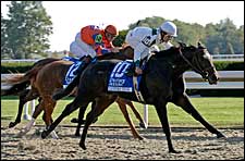 Country Star Outshines Contenders in Alcibiades Country Star Outshines Contenders in Alcibiades