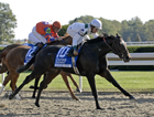 Nine Likely for Starlet