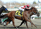 Can Coup de Grace Land Blow in Amsterdam? Can Coup de Grace Land Blow in Amsterdam?
