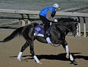 Courageous Cat to Stand for $10,000 Courageous Cat to Stand for $10,000