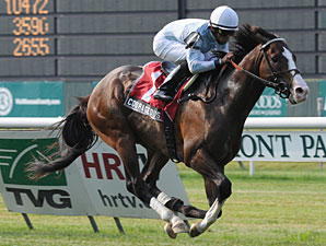 Courageous Cat Romps in Poker Stakes Courageous Cat Romps in Poker Stakes