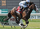 Courageous Cat Romps in Poker Stakes