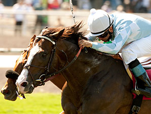 Courageous Cat Claws Out Shoemaker Mile Win Courageous Cat Claws Out Shoemaker Mile Win