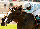 Courageous Cat Claws Out Shoemaker Mile Win