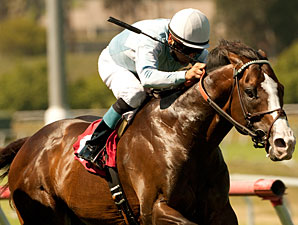 Courageous Cat Favored in Woodbine Mile