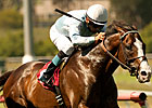 Courageous Cat Favored in Woodbine Mile