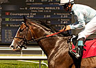 Lane's End to Stand Courageous Cat