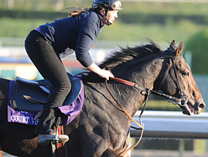 Court Vision Purchased by Spendthrift Farm Court Vision Purchased by Spendthrift Farm