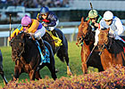 Court Vision Upsets Goldikova in BC Mile