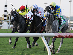 Stellar Field Expected for Woodbine Mile Stellar Field Expected for Woodbine Mile