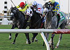 Court Vision Wins GP Turf Handicap After DQ