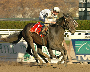 Ky. Derby Trail: A Vision at the Downs Ky. Derby Trail: A Vision at the Downs