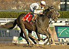 Court Vision Phenomenal in Remsen Court Vision Phenomenal in Remsen