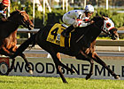 Court Vision in Third Woodford Reserve Try Court Vision in Third Woodford Reserve Try