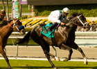 Cowboy Cal Corrals Breeders' Cup Mile Slot