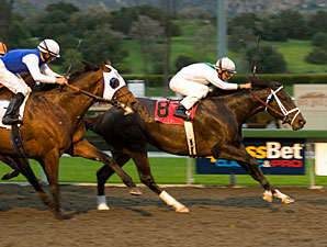 Cowboy Cal Outruns Herd in Strub Triumph Cowboy Cal Outruns Herd in Strub Triumph