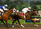 Cowboy Cal Outruns Herd in Strub Triumph Cowboy Cal Outruns Herd in Strub Triumph