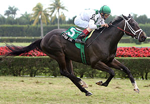 Cowboy Cal Romps in Tropical Derby Cowboy Cal Romps in Tropical Derby