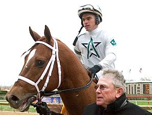 Cowtown Cat to Journeyman Stud Cowtown Cat to Journeyman Stud