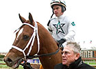 Cowtown Cat to Journeyman Stud