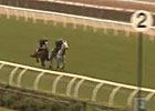 Cox Plate: Trainer John Sadler - Linton