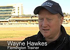 Cox Plate: Wayne Hawkes - All Too Hard