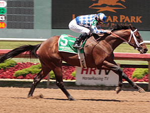 Coyote Legend Favored For Super Derby Prelude Coyote Legend Favored For Super Derby Prelude