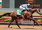 Coyote Legend Favored For Super Derby Prelude Coyote Legend Favored For Super Derby Prelude
